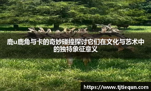 ub8优游